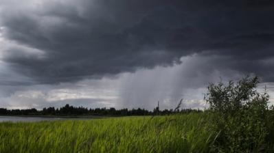 В выходные на Орловщине прогнозируются тепло и дожди