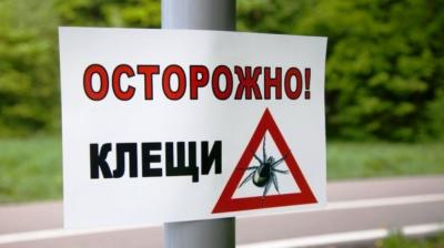 С начала сезона активности зарегистрировано 94 случая укуса клещами жителей города Ливны и Ливенского района